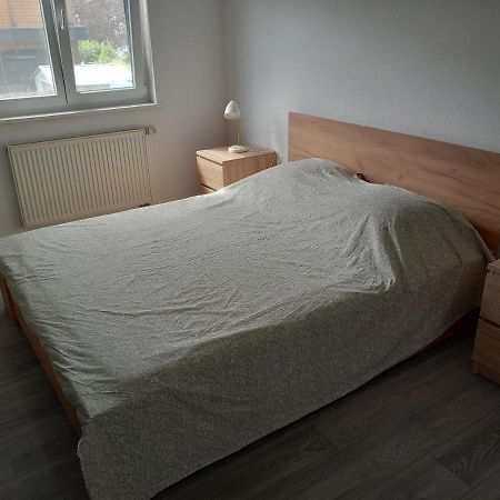 Appartement 3 Pieces Avec Balcon Rhinau Εξωτερικό φωτογραφία