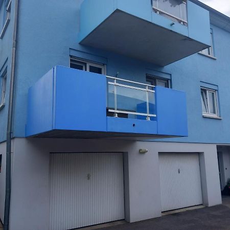 Appartement 3 Pieces Avec Balcon Rhinau Εξωτερικό φωτογραφία