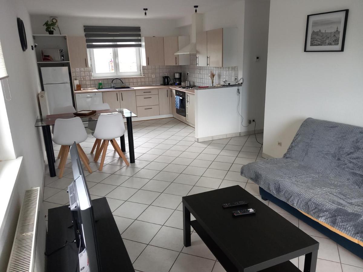 Appartement 3 Pieces Avec Balcon Rhinau Εξωτερικό φωτογραφία